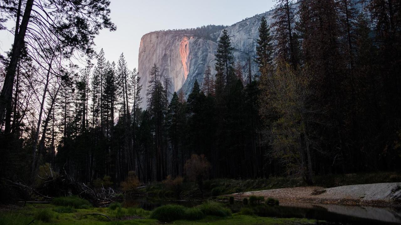 Autocamp Yosemite Hotell Midpines Exteriör bild